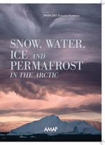 Snow, Water, Ice and Permafrost in the Arctic